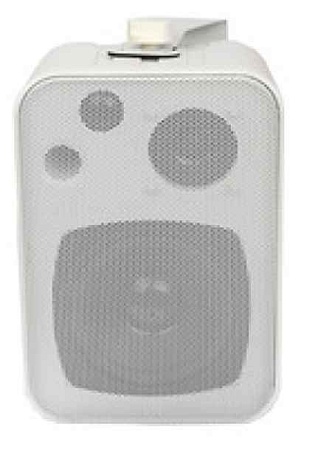 SVS Audiotechnik WSM-20W